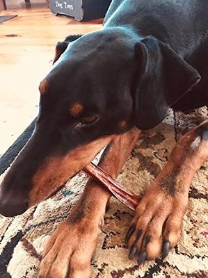 12" Premium Bully Stick Dog Treats, 5 count