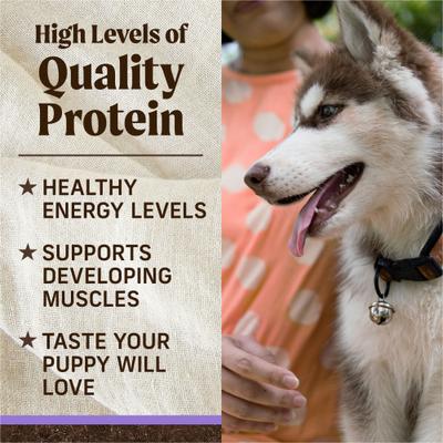 Grain-Free Dry Puppy Food Real Beef & Sweet Potato Recipe, 4-lb bag