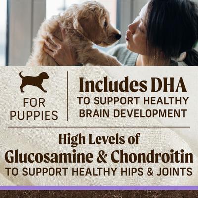 Grain-Free Dry Puppy Food Real Beef & Sweet Potato Recipe, 4-lb bag