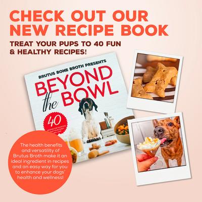 Bone Broth Pork & Apple Biscuits Natural Limited Ingredient Crunchy Dog Treats, 8-oz bag