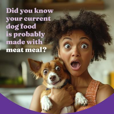 Holistic Complete Digestive Health Chicken & Brown Rice Recipe Puppy Dry Dog Food, 3.5-lb bag