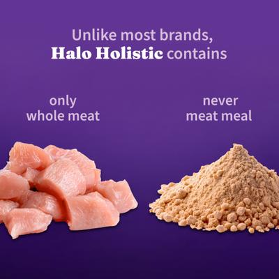 Holistic Complete Digestive Health Chicken & Brown Rice Recipe Puppy Dry Dog Food, 3.5-lb bag