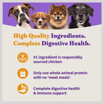 Holistic Complete Digestive Health Chicken & Brown Rice Recipe Puppy Dry Dog Food, 3.5-lb bag