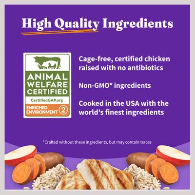 Holistic Complete Digestive Health Chicken & Brown Rice Recipe Puppy Dry Dog Food, 3.5-lb bag