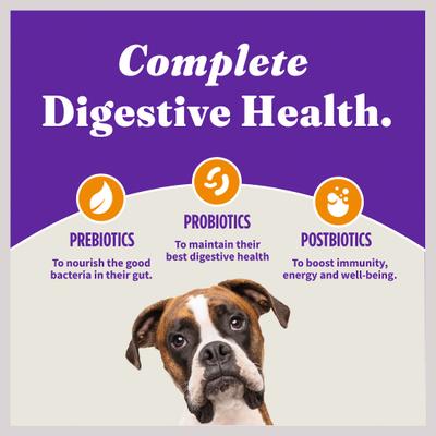 Holistic Complete Digestive Health Chicken & Brown Rice Recipe Puppy Dry Dog Food, 3.5-lb bag