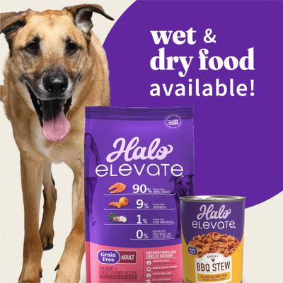 Elevate Grain-Free Salmon Recipe Dry Dog Food, 20-lb bag