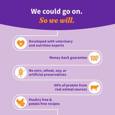 Elevate Grain-Free Salmon Recipe Dry Dog Food, 20-lb bag