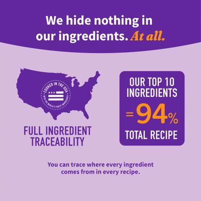 Elevate Grain-Free Salmon Recipe Dry Dog Food, 20-lb bag