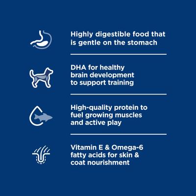 Puppy Sensitive Stomach & Sensitive Skin Salmon & Vegetable Stew Chunks in Gravy Wet Dog Food, 12.5-oz can, 12 count