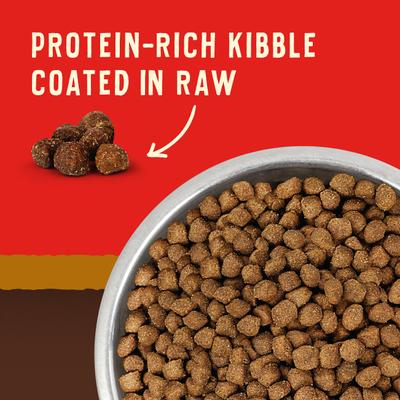 Wild Red Raw Coated Kibble Puppy Grain-Free Prairie Recipe Dry Dog Food, 3.5-lb bag