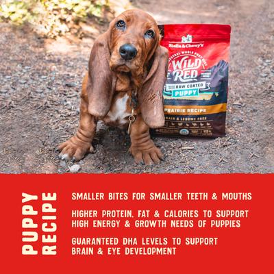 Wild Red Raw Coated Kibble Puppy Grain-Free Prairie Recipe Dry Dog Food, 3.5-lb bag