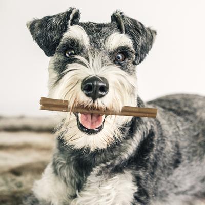 Premium Dog Chews Bully Crunchers 6-inch Bully Flavor Dog Chews, 6 count