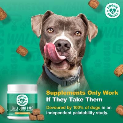 Advanced Hip & Joint Chicken Flavored Soft Chew Joint Supplement for Dogs, 225 count