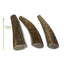 Small Whole Elk Antler Dog Treats, 3 count