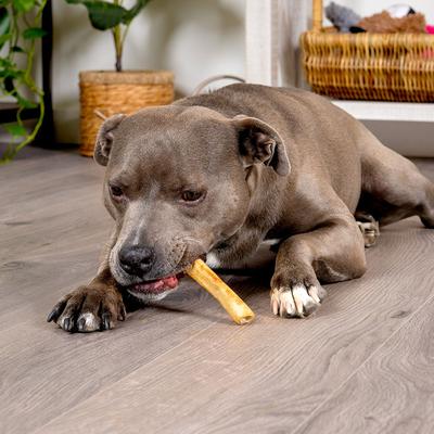 Beefhide Chip Rolls 5-inch Beef & Chicken Flavored Dehydrated Dog Hard Chews, 50 count