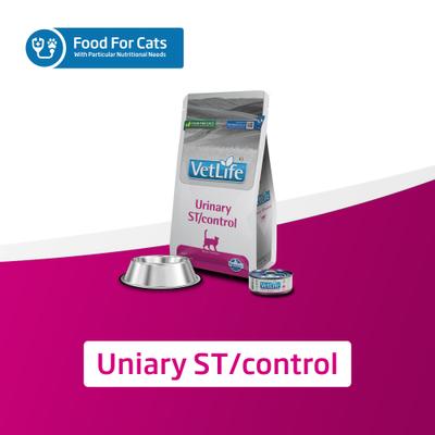 Urinary St Control Feline Dry Cat Food, 4.4-lb bag