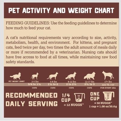 Alimento liofilizado para gatos Complete & Balanced Raw Diet con receta de pavo, bolsa de 9 oz