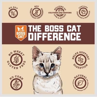 Alimento liofilizado para gatos Complete & Balanced Raw Diet con receta de pavo, bolsa de 9 oz