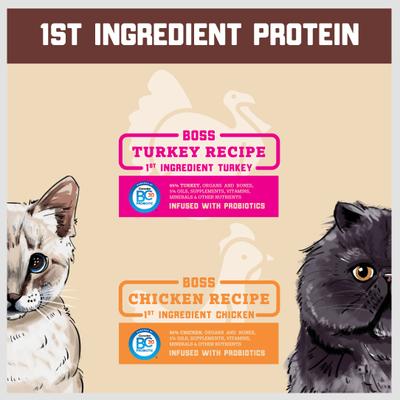 Alimento liofilizado para gatos Complete & Balanced Raw Diet con receta de pavo, bolsa de 9 oz