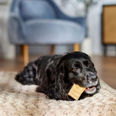 DogLicious Peanut Butter Chips Rawhide Dog Treats, 1-lb bag