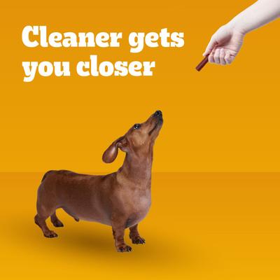 Dentastix Bacon Flavor Dental Treats for Toy & Small Dogs, 9.6-oz pouch, 40 count