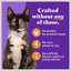 Chicken Recipe with Real Whole Chicken Grain-Free Kitten Wet Food, 3-oz can, case of 12