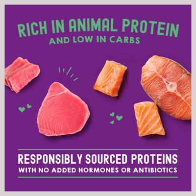 Comida para gatos Carnivore Cravings Morsels'N'Gravy con receta de salmón y atún, bolsa de 2.8 oz, caja de 12