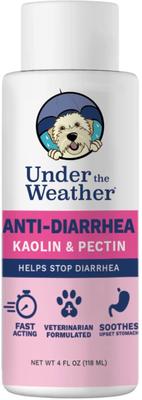 Anti-Diarrhea Liquid Supplement for Dogs, 4-fl oz bottle