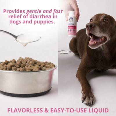 Anti-Diarrhea Liquid Supplement for Dogs, 4-fl oz bottle