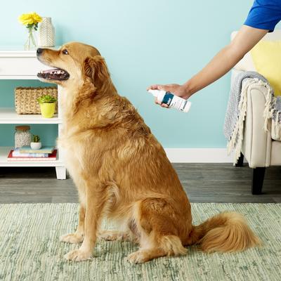 Spray for Itchy Skin for Dogs, Cats, & Horses 8-fl oz bottle