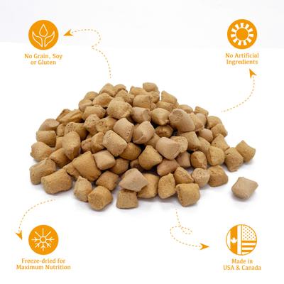 Chicken Bites Grain-Free Freeze-Dried Dog Treats, 3-oz bag