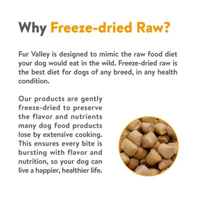 Chicken Bites Grain-Free Freeze-Dried Dog Treats, 3-oz bag