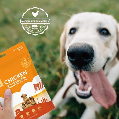 Chicken Bites Grain-Free Freeze-Dried Dog Treats, 3-oz bag