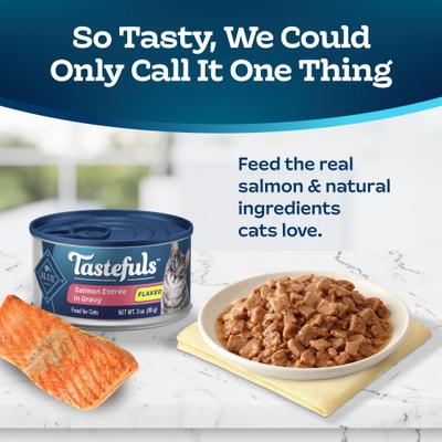 Tastefuls Salmon Entrée in Gravy Flaked Wet Cat Food, 3-oz can, case of 24