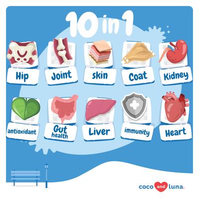Multivitamínico masticable suave 10 en 1 Coco and Luna para perros, 90 unidades