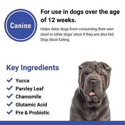 Stop Stool Eating Deterrent Chewable Tablets Dog Supplement, 60 count