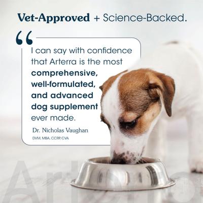 The Daily Dog Supplement Multivitamin + Joint Support Powder Supplement for Senior Dogs, 120 Scoops