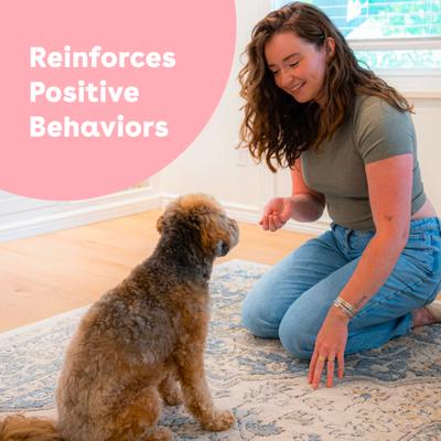 Train Blueberry Natural Freeze-Dried Dog Treats, 2-oz bag