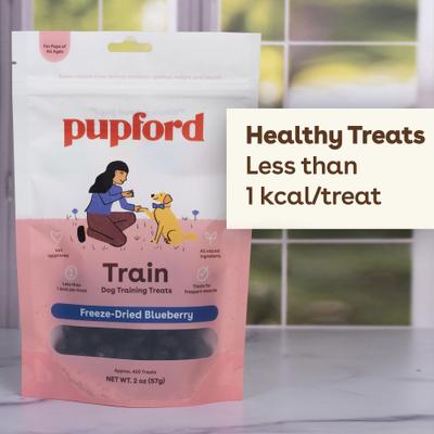 Train Blueberry Natural Freeze-Dried Dog Treats, 2-oz bag