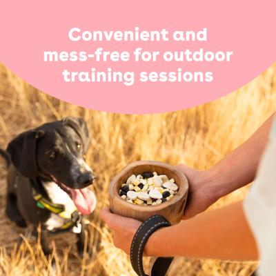 Train Blueberry Natural Freeze-Dried Dog Treats, 2-oz bag