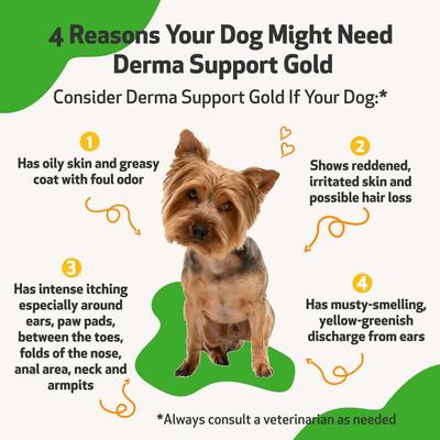 Derma Support GOLD Liquid Skin & Coat Supplement for Dogs, 2-oz bottle