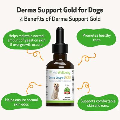Derma Support GOLD Liquid Skin & Coat Supplement for Dogs, 2-oz bottle
