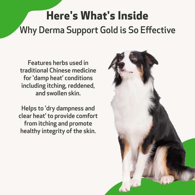 Derma Support GOLD Liquid Skin & Coat Supplement for Dogs, 2-oz bottle