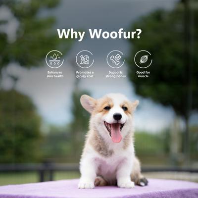 Woofur Gourmet Chicken Air-Dried All Natural Grain-Free Jerky Dog Training Treat, 1.76-oz bag