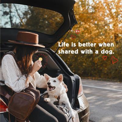 Wag More Bark Less Human Grade Peanut Butter Sandwich Cookie Dog Treats, 11.8-oz tray