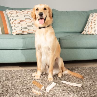 Elk Antlers X-Large Split Dog Chew Treat