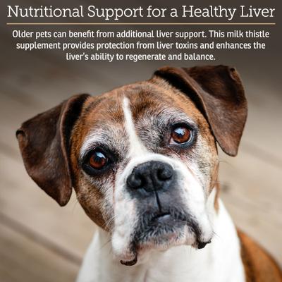 Hepato Chicken Flavored Liquid Liver Supplement for Cats & Dogs, 4-fl oz bottle