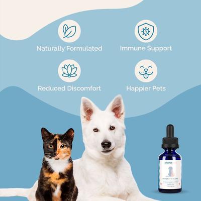 Immunity Blend Immune Health Liquid Cat & Dog Supplement, 2-fl oz bottle