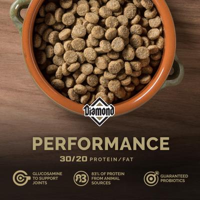 Performance Formula All Lifestages Dry Dog Food, 80-lb bundle