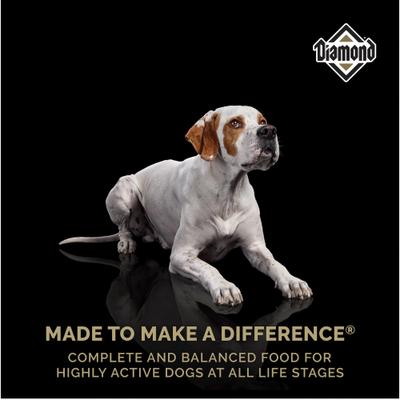 Performance Formula All Lifestages Dry Dog Food, 80-lb bundle